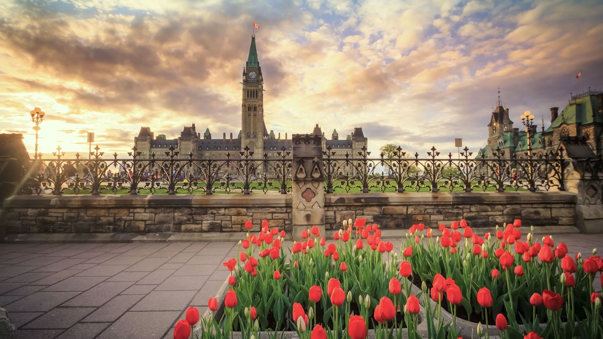 Canadian Tulip Festival 2024